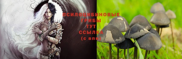 таблы Алексеевка