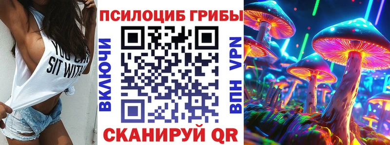 где можно купить наркотик  Грязовец  Галлюциногенные грибы мухоморы 