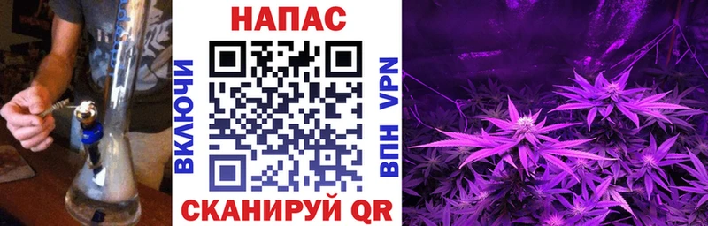 продажа наркотиков  нарко площадка состав  Бошки марихуана OG Kush  Грязовец 